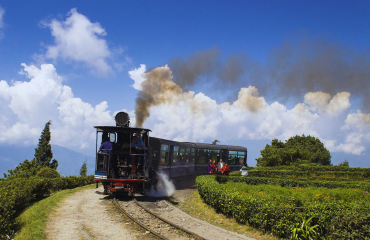 Darjeeling and Kalimpong (5D/4N)