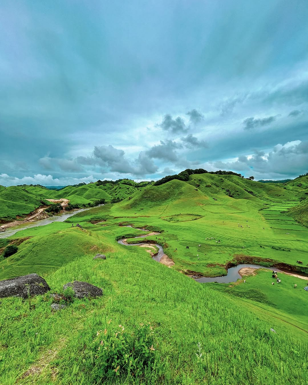 Meghalaya & Kaziranga Adventure (7D/6N)