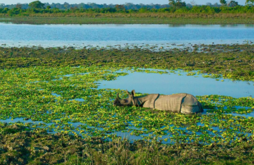 Kamakhya & Kaziranga (4D/3N)