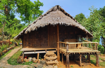 Nagaland Unveiled (5D/4N)