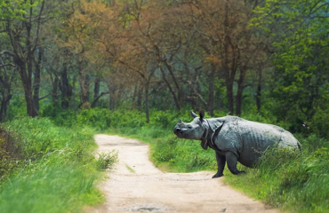 Serene Tawang with Wild Kaziranga (7D/6N)