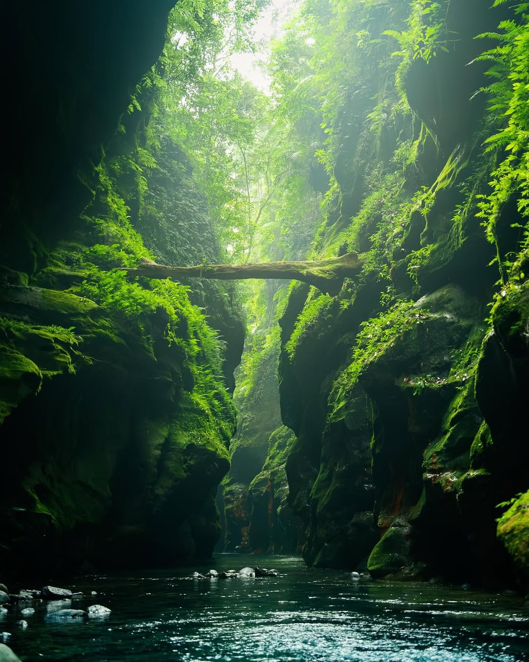 Wari Chora: Meghalaya's Hidden Paradise (4D/3N)